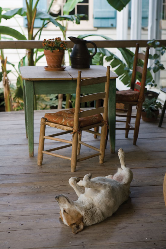 Buster loves to loll on the porch in summer, where breezes play and the deep roof blocks intense sunlight.
